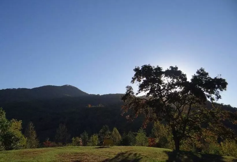 住宿加早餐 Engadine Inn & Cabins