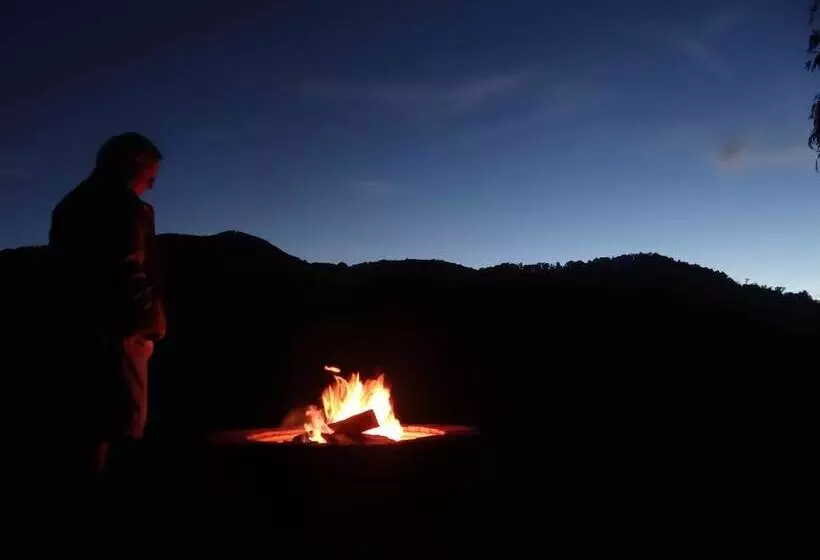 住宿加早餐 Engadine Inn & Cabins