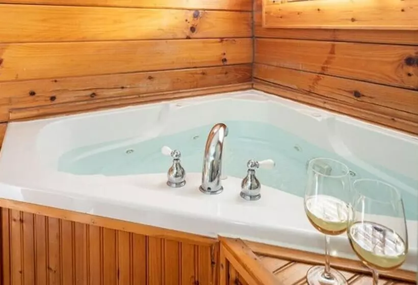 住宿加早餐 Engadine Inn & Cabins