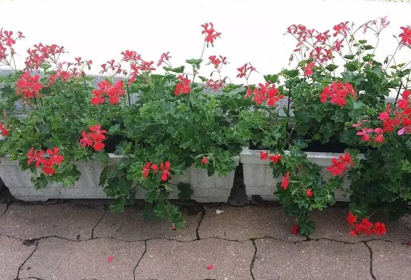 Budget Hotel Melun Sud Dammarie Les Lys