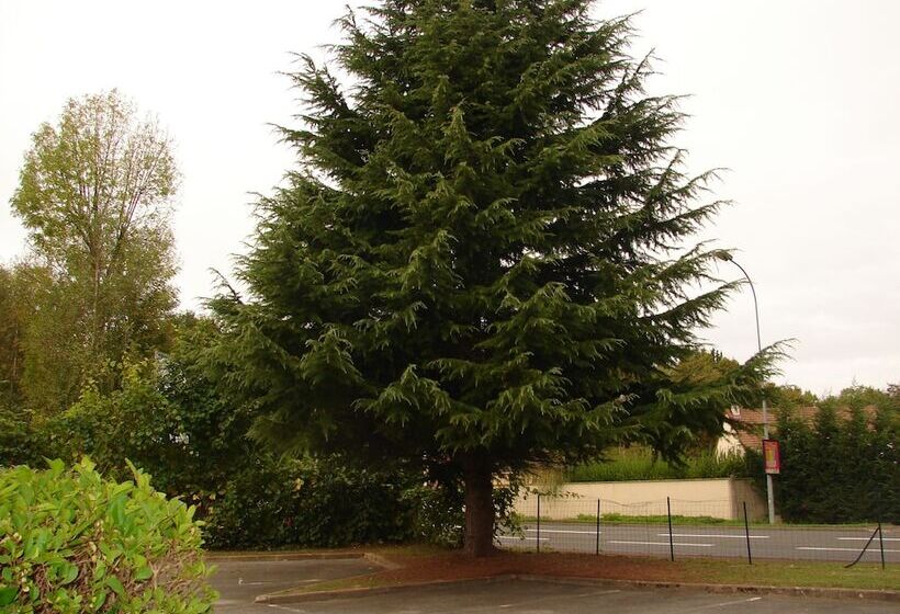 Budget Hotel Melun Sud   Dammarie Les Lys