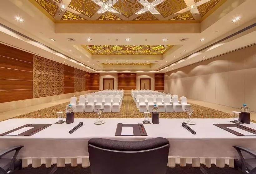 Отель Balaji Sarovar Premiere