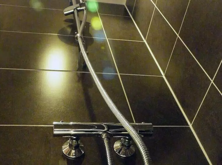 酒店 Britannia Study