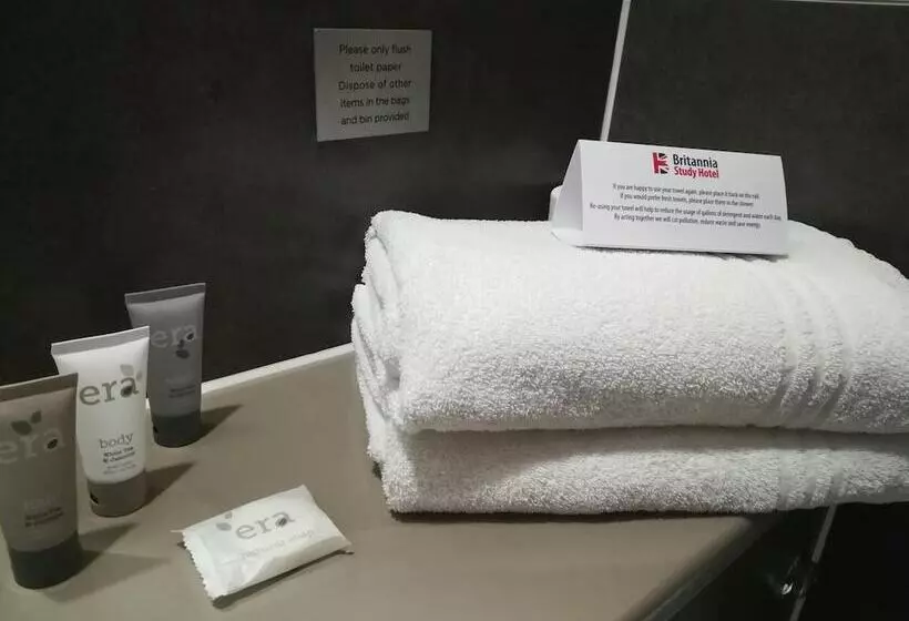 酒店 Britannia Study