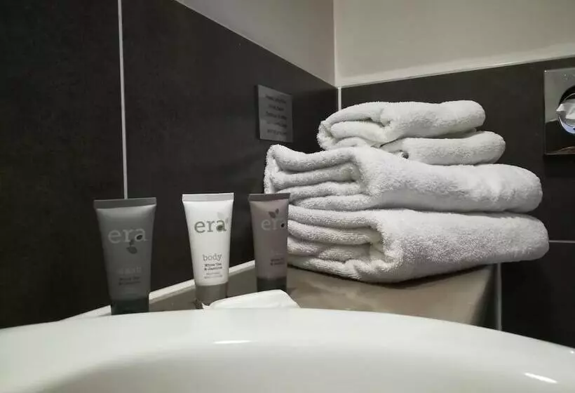 酒店 Britannia Study