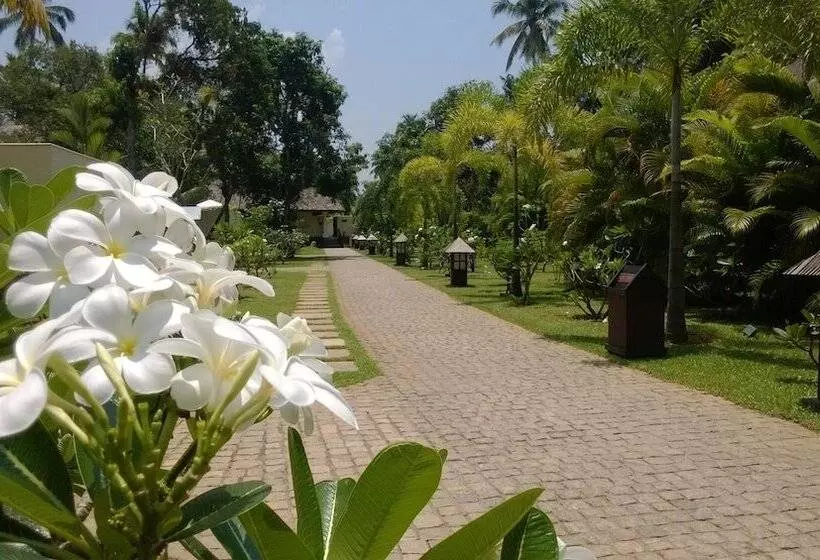 호텔 Carnoustie Beach Resort & Ayurveda Spa