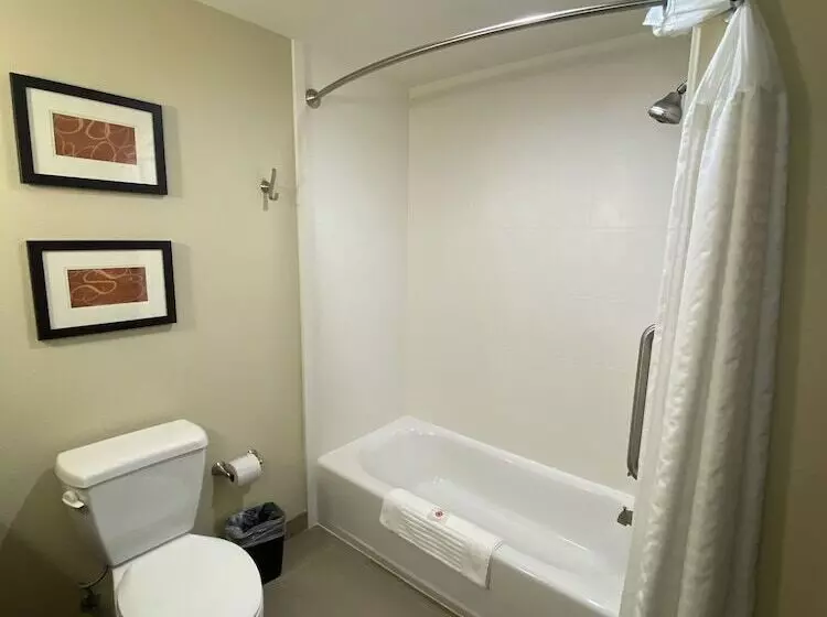 ホテル Comfort Suites West Omaha
