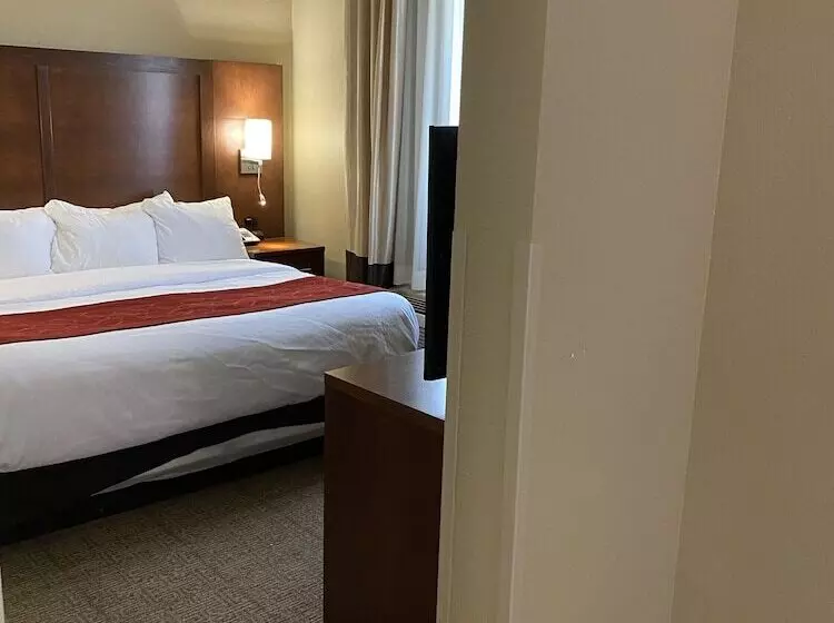 ホテル Comfort Suites West Omaha