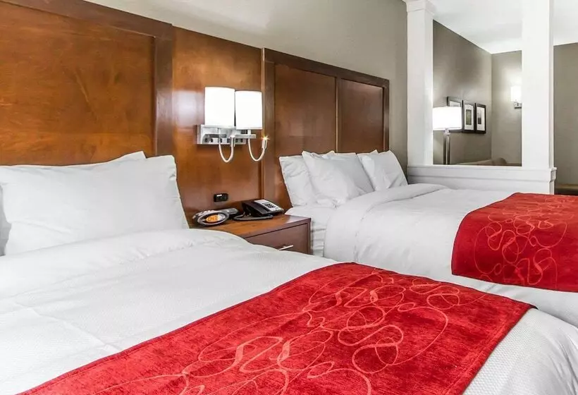ホテル Comfort Suites West Omaha