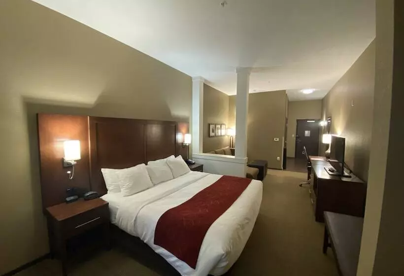 ホテル Comfort Suites West Omaha