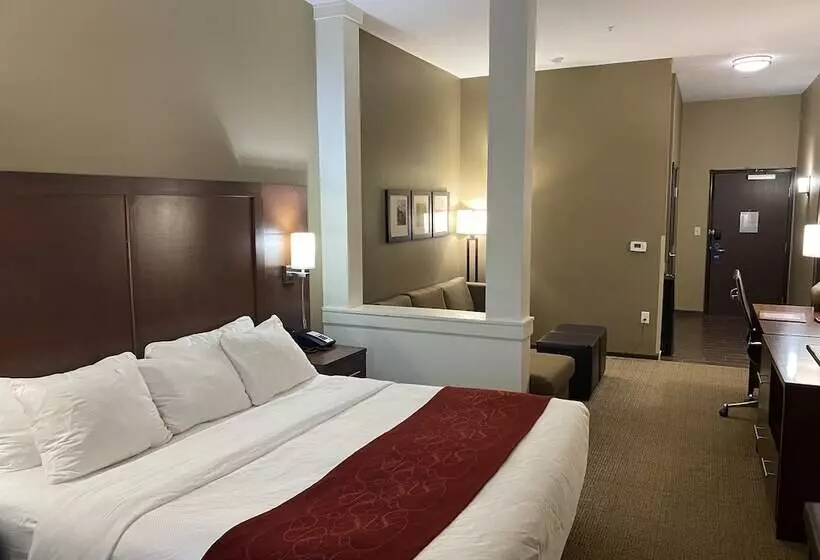 ホテル Comfort Suites West Omaha