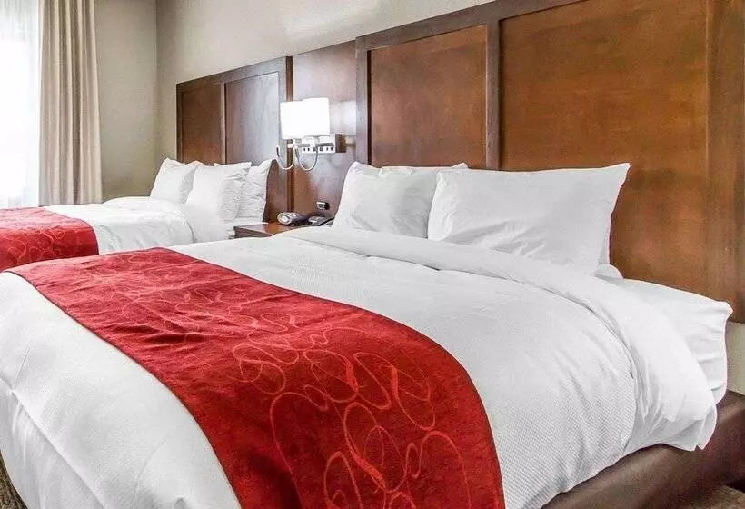 ホテル Comfort Suites West Omaha