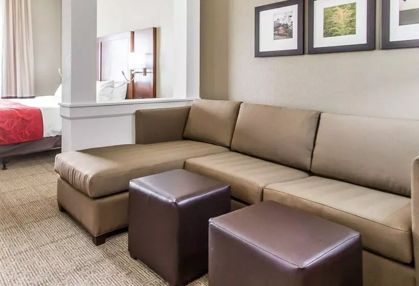 ホテル Comfort Suites West Omaha