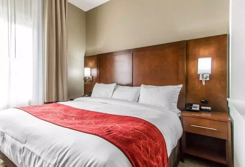 ホテル Comfort Suites West Omaha