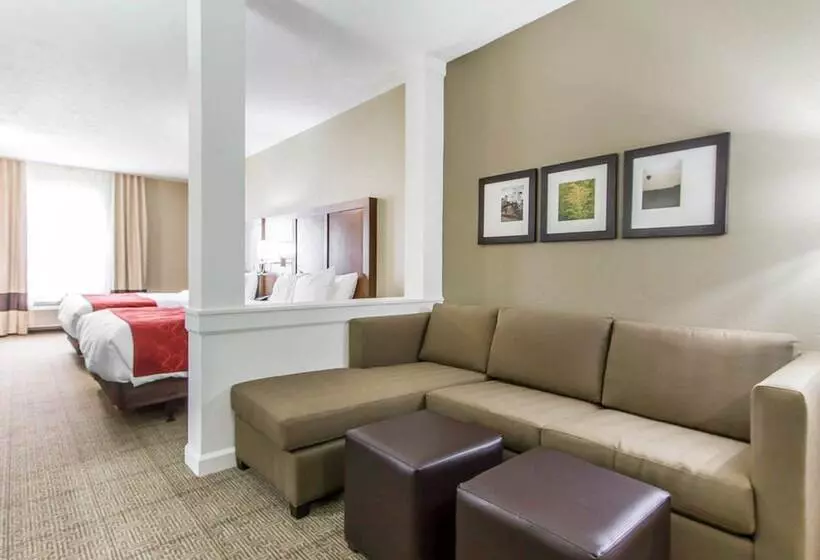 ホテル Comfort Suites West Omaha