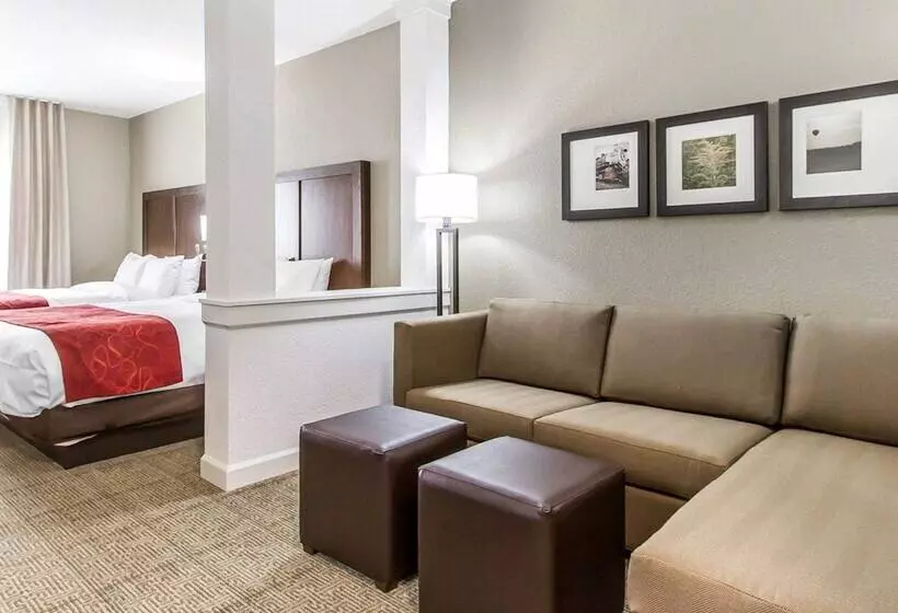 ホテル Comfort Suites West Omaha