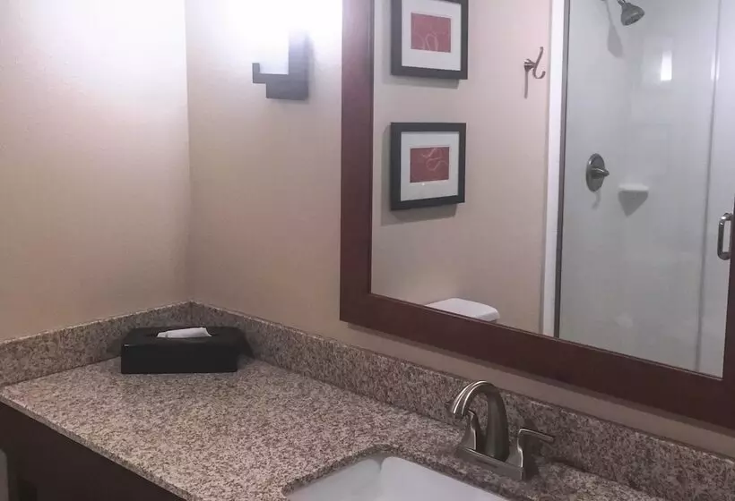 ホテル Comfort Suites West Omaha