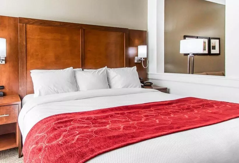 ホテル Comfort Suites West Omaha