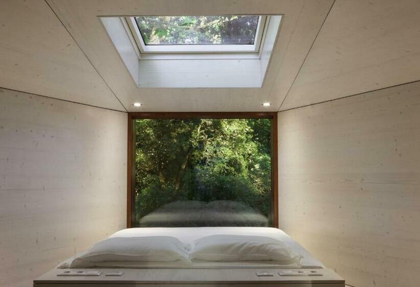 호텔 Pedras Salgadas Spa & Nature Park