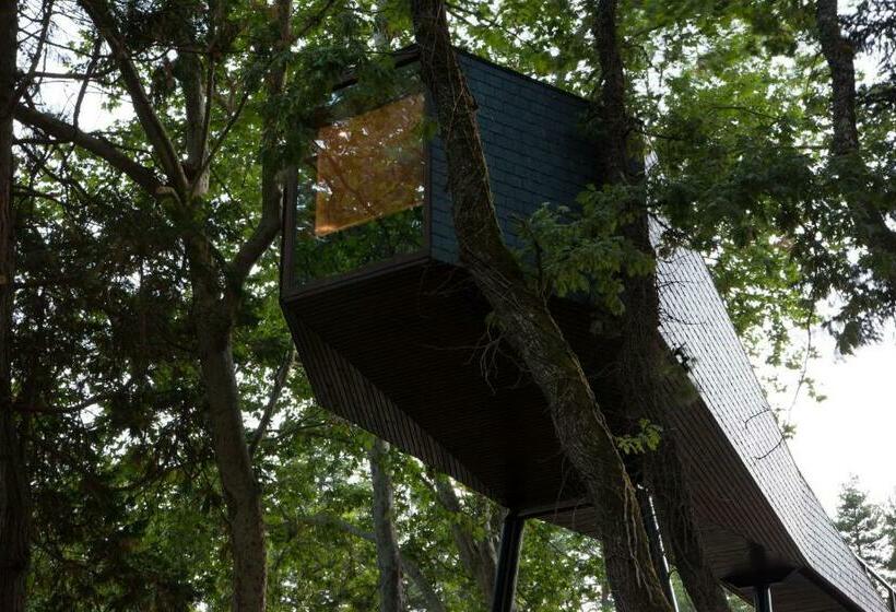 호텔 Pedras Salgadas Spa & Nature Park