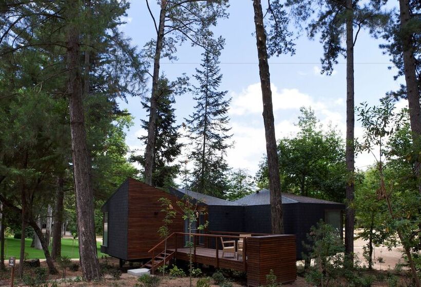 호텔 Pedras Salgadas Spa & Nature Park