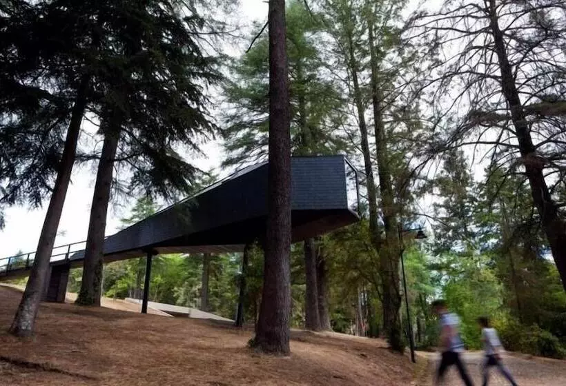 호텔 Pedras Salgadas Spa & Nature Park