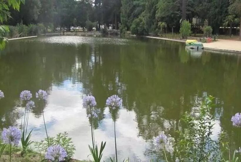 호텔 Pedras Salgadas Spa & Nature Park