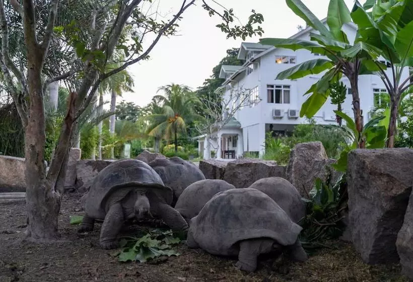 La Modestie Guest House