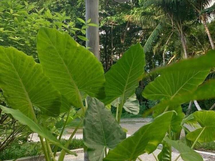 La Modestie Guest House