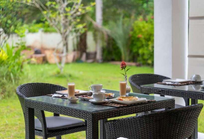 La Modestie Guest House