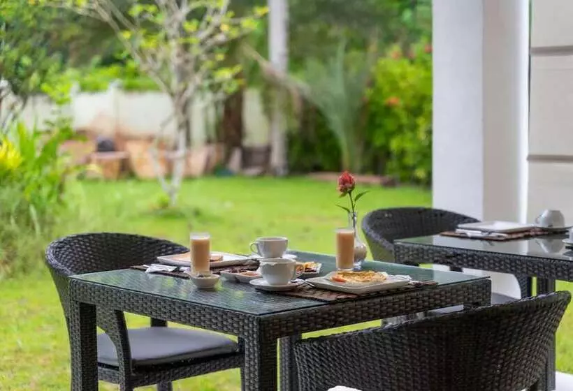 La Modestie Guest House