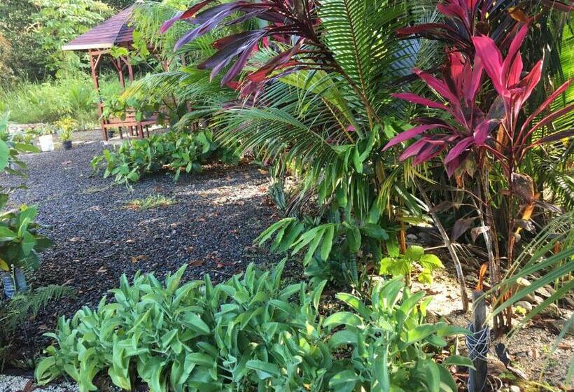 住宿加早餐  Casa Dolcecr