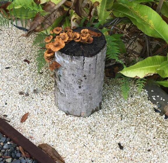 住宿加早餐  Casa Dolcecr