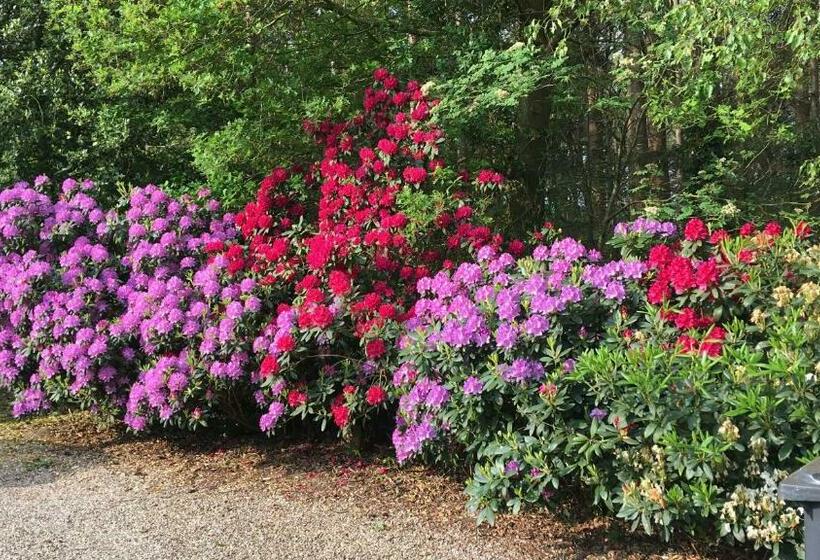 צימר Hof Van Yde