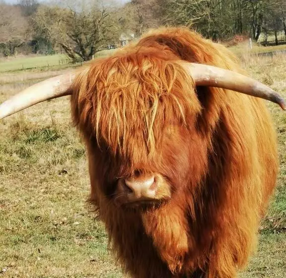 Aamiaismajoitus (B&B) Hof Van Yde