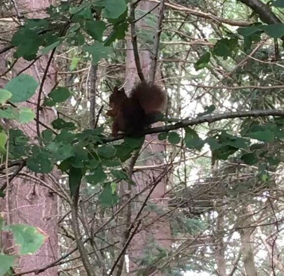 צימר Hof Van Yde