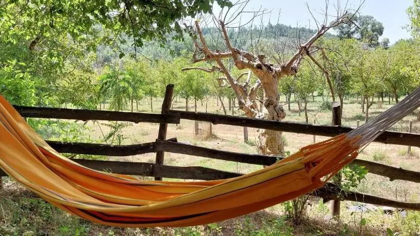 ベッドアンドブレックファースト La Quercia Sul Lao Bed&breakfast