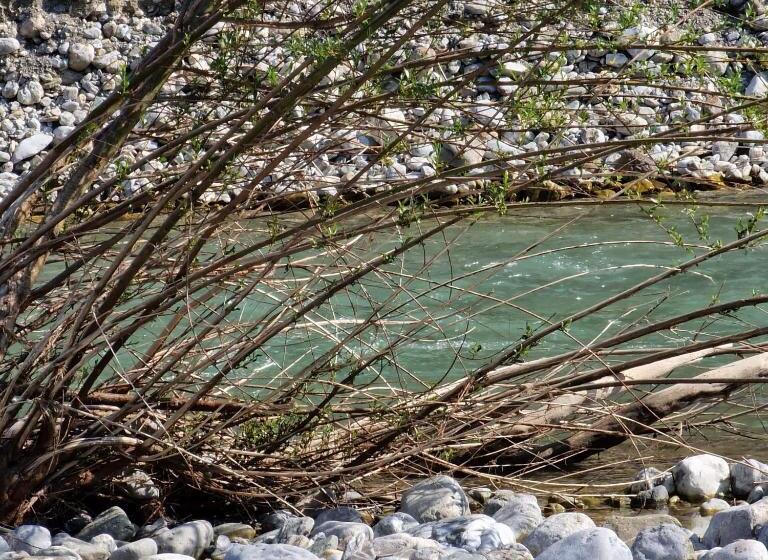 Bed and Breakfast La Quercia Sul Lao Bed&breakfast