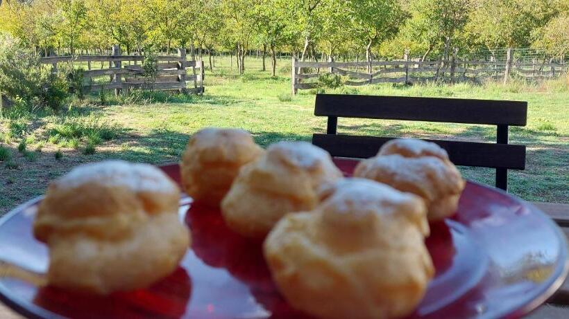 Bed and Breakfast La Quercia Sul Lao Bed&breakfast