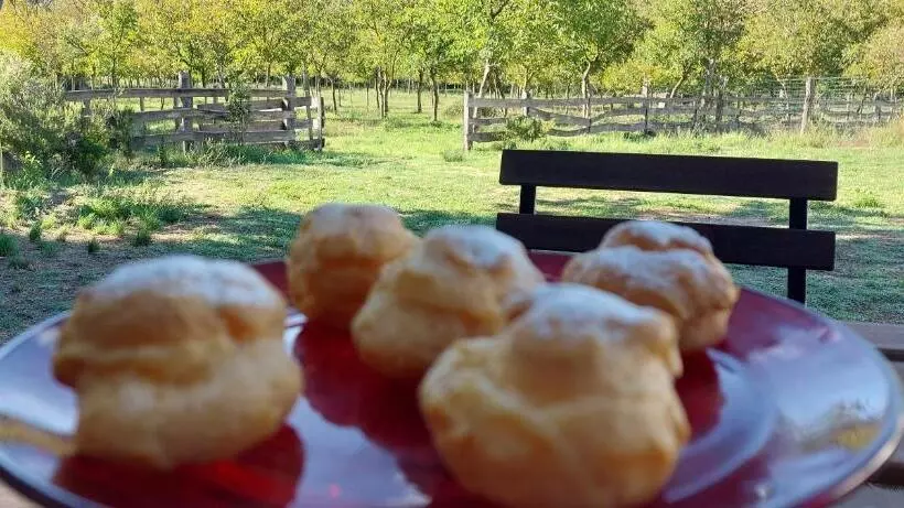 ベッドアンドブレックファースト La Quercia Sul Lao Bed&breakfast