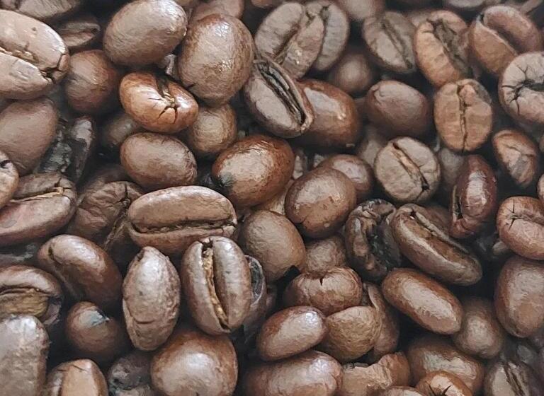 Bed and Breakfast La Quercia Sul Lao Bed&breakfast