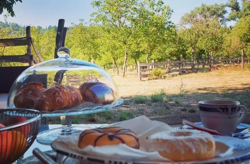 ベッドアンドブレックファースト La Quercia Sul Lao Bed&breakfast