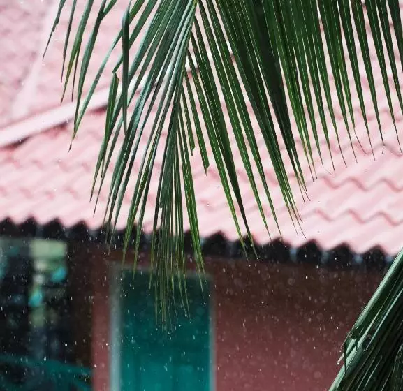 ホテル Papaya Resort