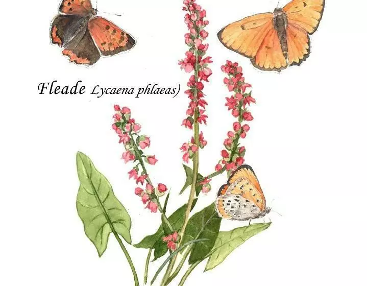 ペンション Cascina Lai   Oasi Naturalistica   Camere Private