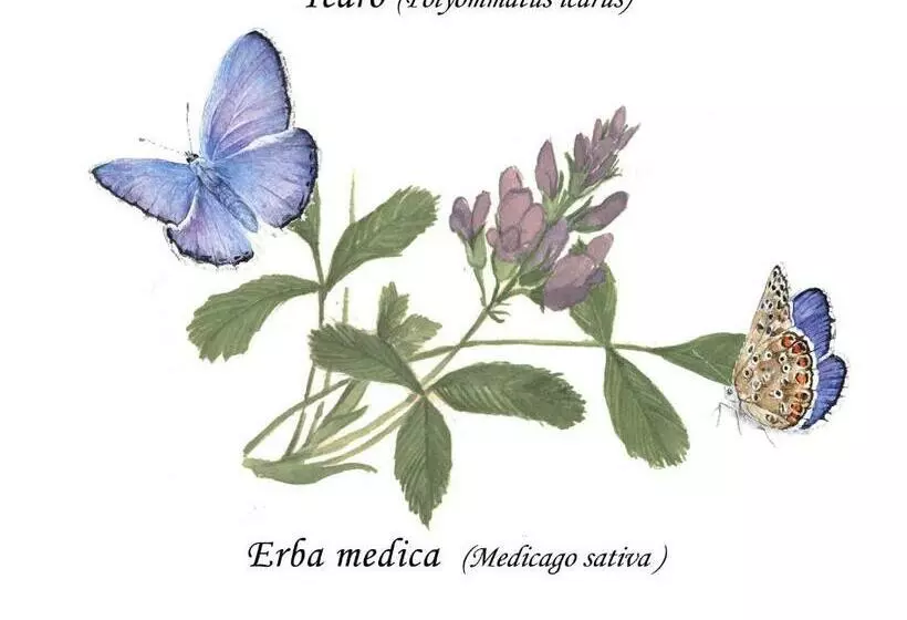 ペンション Cascina Lai   Oasi Naturalistica   Camere Private