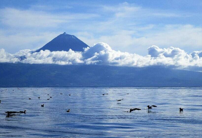 Vila Holanda Bed & Breakfast