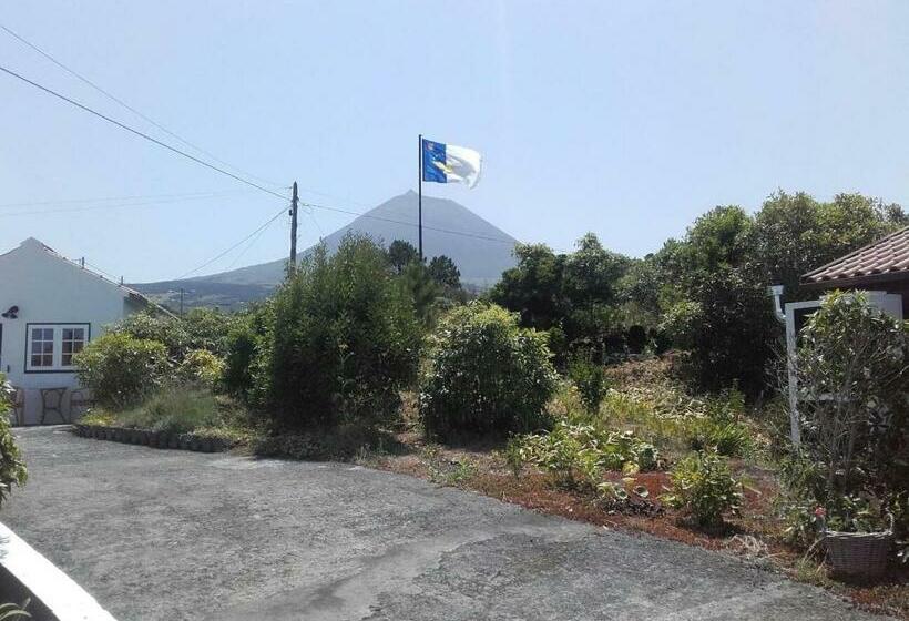 Vila Holanda Bed & Breakfast