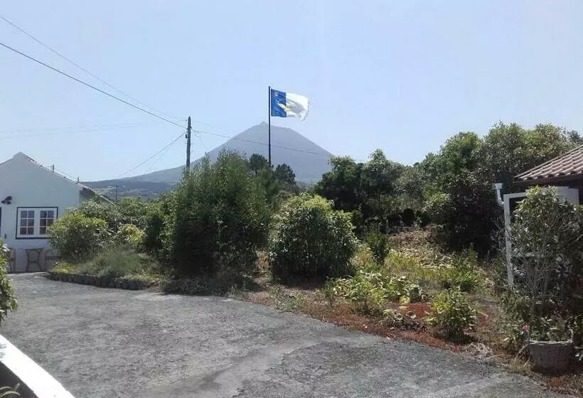 Vila Holanda Bed & Breakfast