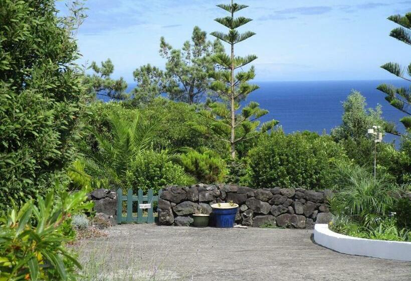 Vila Holanda Bed & Breakfast