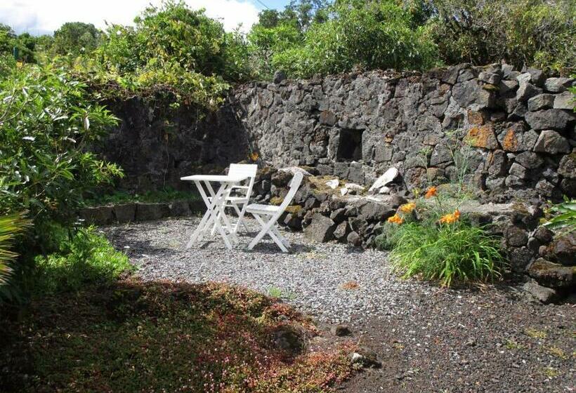 Vila Holanda Bed & Breakfast